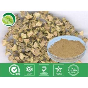 high quality fructus tribulus terrestris p.e Saponins -- Tribulus terrestris L.
