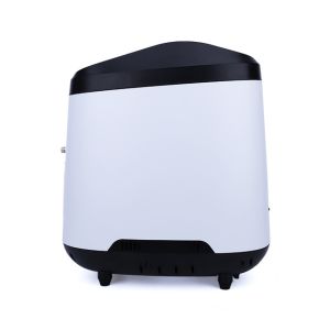 Cheap Continuously Stable And Efficient Oxygen Production Portable LCD Display Silent Medical Grade 9L Oxygen Generator for sale