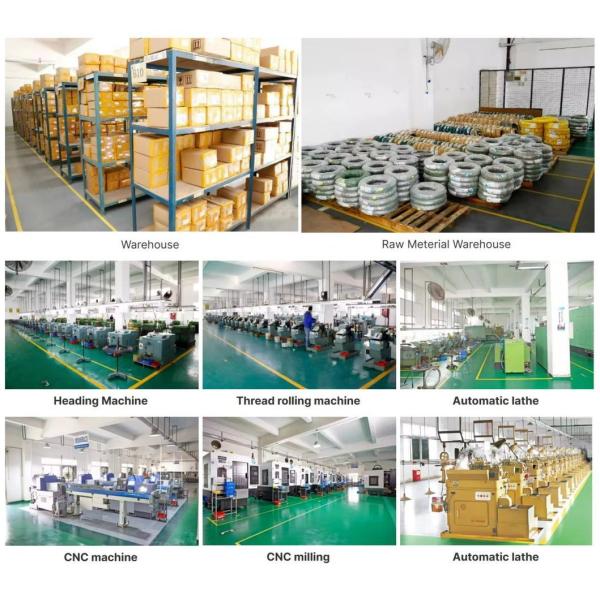 Custom Stainless Steel Phillips Head Screws DIN/ANSI Grade 4.8-12.9