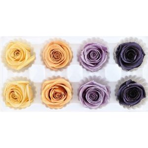 4-5cm Preserved Rose Heads Gorgeous Flower Color Easy Matching Other Colors