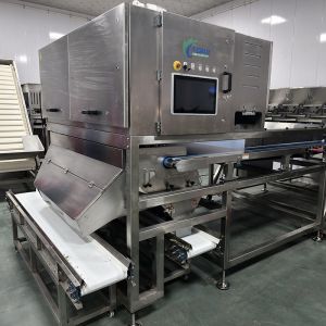 Cheap Intelligent Tea Color Sorting Machine, Suitable For Complex Materials, Ensuring Sorting Accuracy for sale