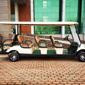 Customizable Color 6-Seater New Energy Golf Cart Buggy Lithium Lead Acid Battery