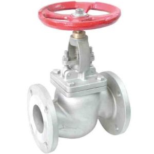 Cheap ANSI B16.10 A351 CF8 Flexible Wedge Rising Stem Stainless Steel Globe Valve for sale