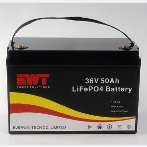1760Wh Output Power Deep Cycle Lifepo4 36v 50ah Lithium Ion Battery Pack For