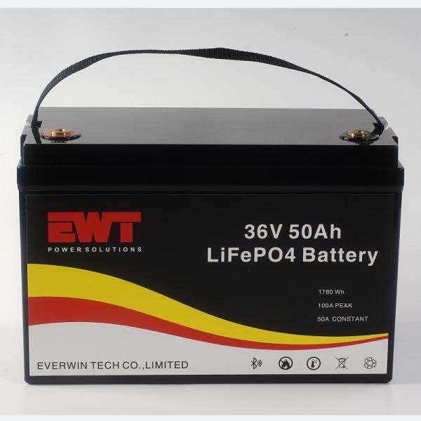 1760Wh Output Power Deep Cycle Lifepo4 36v 50ah Lithium Ion Battery Pack For