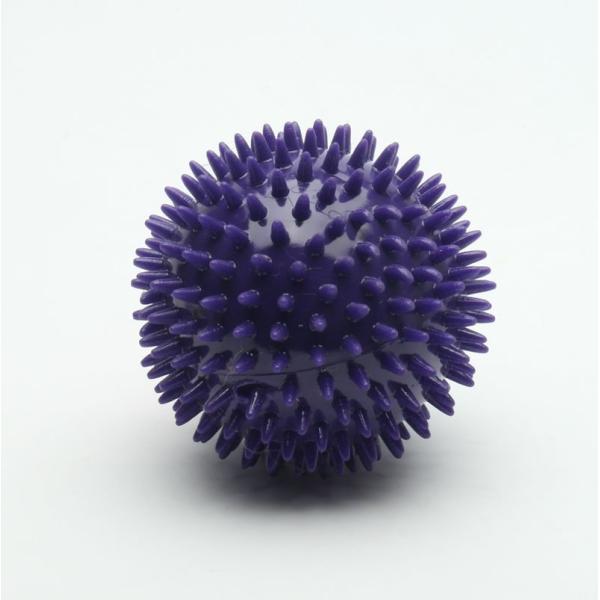 Quality Unique Spiky Durable TPR Dog Toy Squeaky Thrower Plastic Dog Ball wholesale