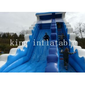 Kids Adults PVC Tarpaulin 0.55mm Inflatable Water Slide With Custmized Size