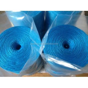 PP Baler Twine 2mm 500m/kg Eco-Friendly Agriculture Rope