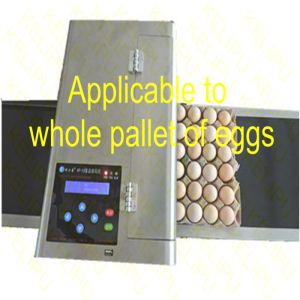 The Whole Pallet Egg Printing Machine , Industrial Inkjet Printer For Eggs