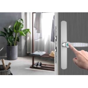 TTlock Biometric Keypad Password Code Rfid Bluetooth Gate Locks