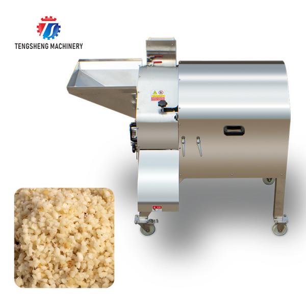 1000KG/H Large fruit and vegetable dicing machine Aloe dicing machine potato