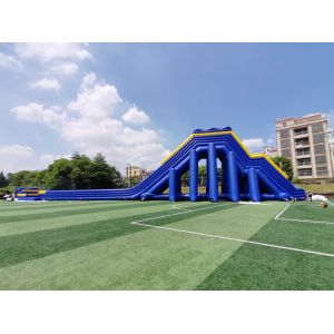 Giant Commercial Inflatable Water Slides Cartoon Theme For Adults
