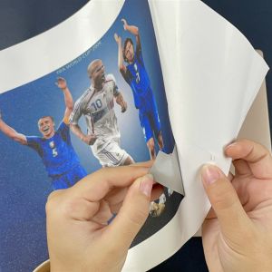 Full Body Laptop Skin Making Machine Vinyl Graphics Printer Cutter Software