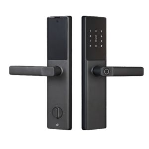 Smart Lock Automatic Home Electronic Long Range Control APP Wifi Fingerprint