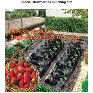 Transparent Low Tunnel Film Perforated For Culture Of Seedling Maturing