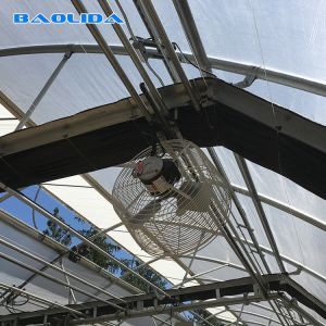 Multi Span Fabric Automated Blackout Greenhouse / Light Deprivation System