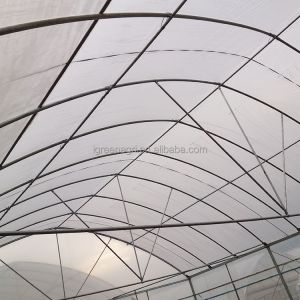 Single Layer IGreen Multispan Plastic Film Greenhouse for Shoulder Height 1.8-2