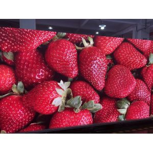 China P2 P2.5 High Resolution Rental Display LED Video Wall Indoor Meeting Room indoor full color led display on sale