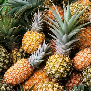 Agricultural NPK Water Soluble Fertilizer Seaweed Extract Powder Plant Seaweed