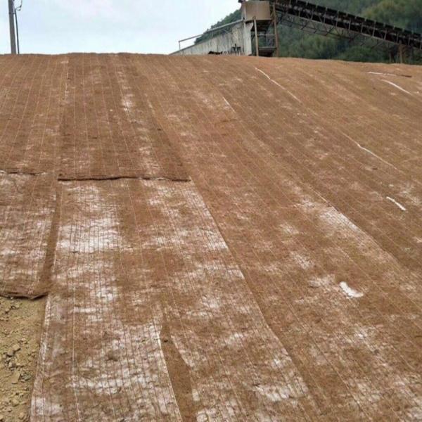 Quality Coconut Turf Reinforcement Mat (TRM) Erosion Control Blanket ( ECB) For slope protection to reinforce the root system wholesale