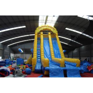 Unisex Custom Logo Printed Commercial Inflatable Water Slide for Giant Water Fun