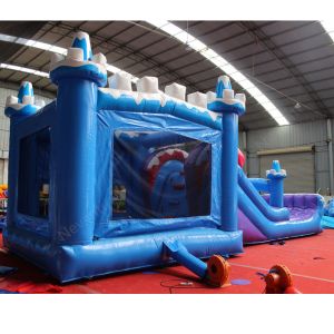 Customized Color Commercial Inflatable Jump Slide Water Park Slide