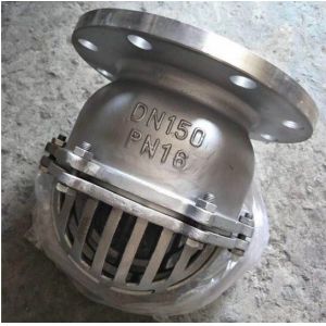 Stop Structure Flange End Ductile Cast Iron Accessory Suction Foot Valve for