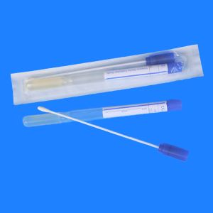 Disposable Anal Sample Collection Kit Microbial Culture Swab Kit Transport