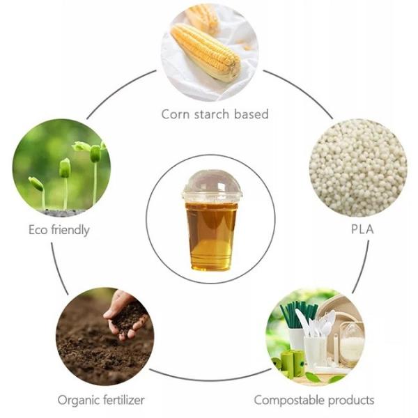 Cold Drinking Biodegradable PLA Cups Compostable Corn Starch Plastic Smoothie Cup