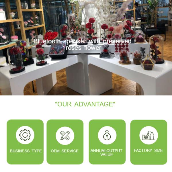 Eternal Handmade Design Preserved Rose Glass Dome With Bluetooth Speaker