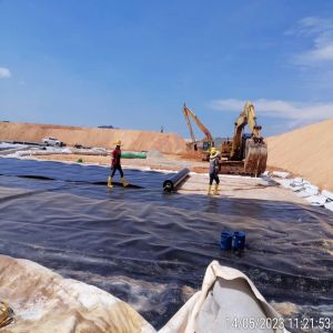 1mm 0.5mm 1.5mm 2mm Hdpe Geomembrane for Plastic Fish Shrimp Pond Liner Design