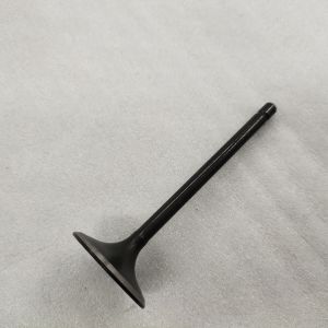 DAYANG Three Wheel Motorcycle Tricycle Black Iron Engine Forging Valve with