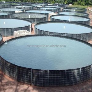 1m-8m Width HDPE Geomembrane Liner for Fish Farm Pond Project Solution