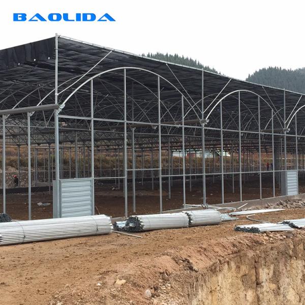 Quality Side Ventilation Clear Multi Span Greenhouse With Outside Shading System wholesale