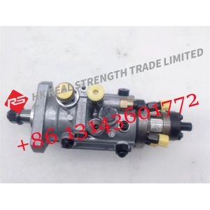 Diesel Common Rail Fuel Injection Pump DE2435-6481 DE24356481 For Stanadyne