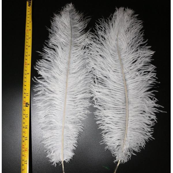 Hat Decoration Millinery Feather Small Ostrich Plumes Feather for Events