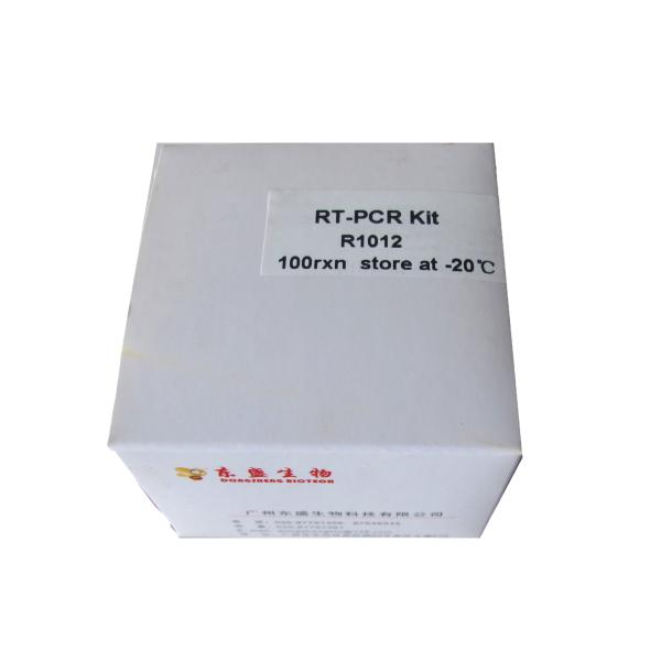 RNA Reverse Transcriptase RT-PCR Reagents First Strand CDNA Synthesis Kit R1011 R1012