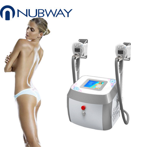 Quality Coolsculpting Cryolipolysis Slimming Machine For Body Shaping with Touch Screen wholesale
