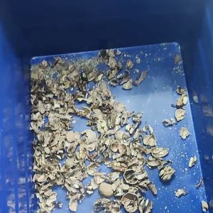Cheap Automatic Walnut-Kernel Separating Machine Equipped With 8 Lanes Configuration And FPGA Image Processing For Efficient Shell And Partition Removal for sale