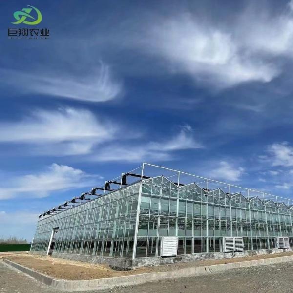 Quality Customized Multi-Span Arch Type Film Agricultural Greenhouse with Glass Cover wholesale