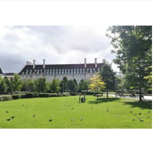 35mm Synthetic Artificiel Green Grass Carpet W Shaped Monofilament PE