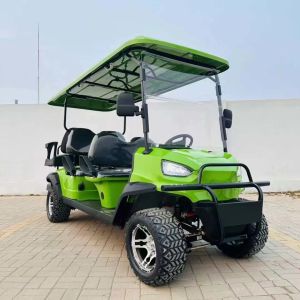 Customizable 4-Seater Electric Utility Golf Cart Lithium Battery Golf Buggy for