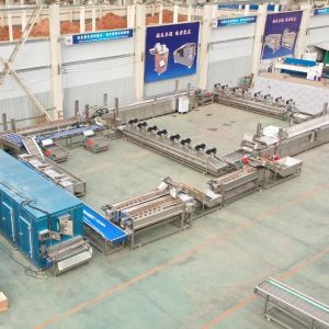 High-Efficiency Fully Automatic French Fries Production Line | Customizable