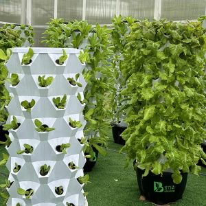 Stocked 65L 6 Layer 48 Plant Holes Hydroponic Growing Tower With Drip Nutrient