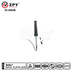 ZPY 4M0616031T Rear Shock Absorber With Induction LR For Porsche Cayman