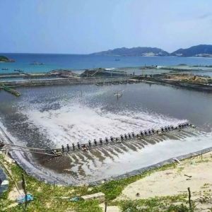 HDPE Geomembrane for Tilapia Plastic Terpal Kolam Circular Fish Farming in 1m-8m