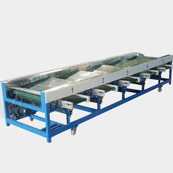 Quality Red Palm Dates Orange Round Fruit Sorting Machine Fruit Grading Machine wholesale