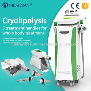 Cryolipolysis slimming machine fast weight loss and body shaping Nubway