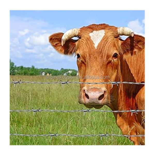 Quality Chain Link Fence Barbed Wire Coil 14x14 16x14 Galvanized with Length 20m/25m/30m/50m wholesale