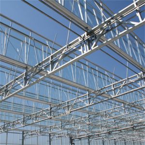 Customizable High Durability Multispan Greenhouse Rain Resistant